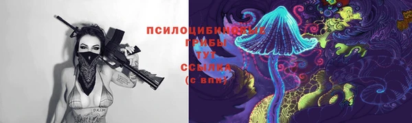 гидропоника Алексеевка