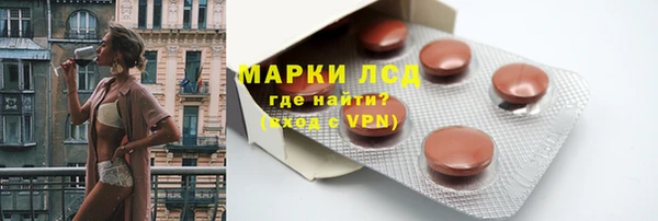 прущие грибы Осташков