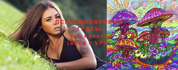 мяу мяу мука Алзамай