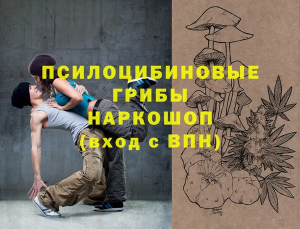 apvp Алексин