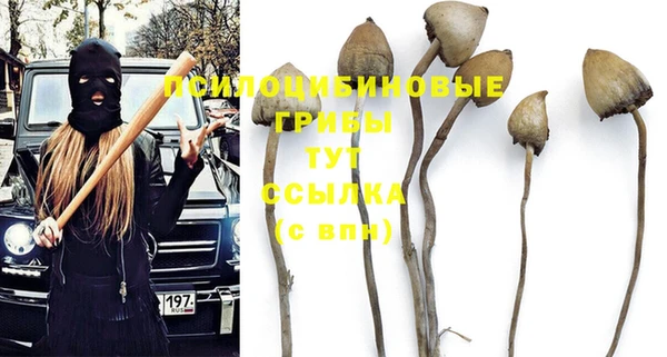 стафф Осинники