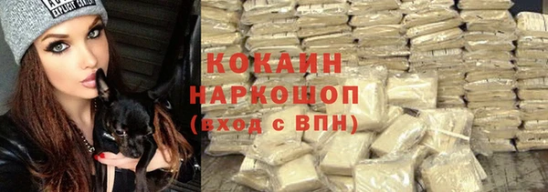 мяу мяу мука Алзамай