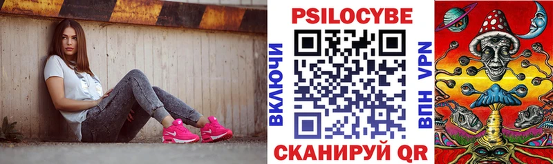 ОМГ ОМГ зеркало darknet официальный сайт Псилоцибиновые грибы Psilocybine cubensis магазин продажи наркотиков Новоаннинский